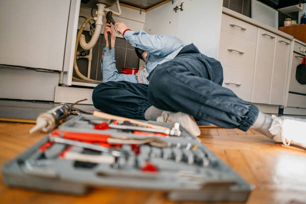 Best Emergency Plumber  in Panora, IA