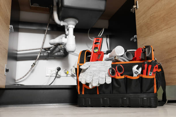 Best Toilet Repair Services  in Panora, IA