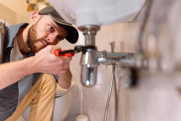Best Clogged Drain Plumber  in Panora, IA