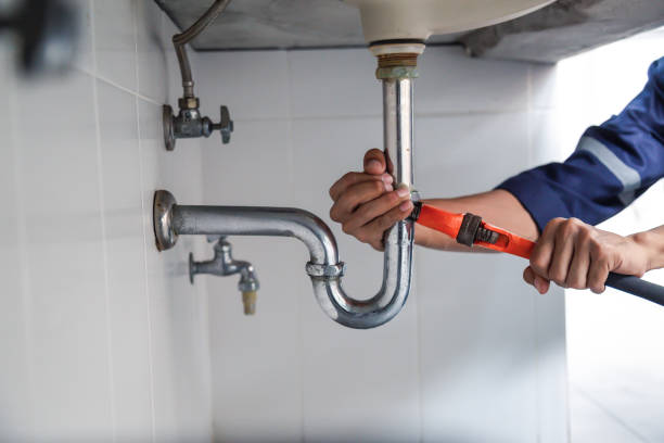 Best Sewer Line Repair  in Panora, IA
