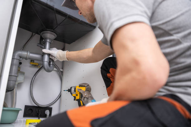 Best Affordable Plumbing Services  in Panora, IA